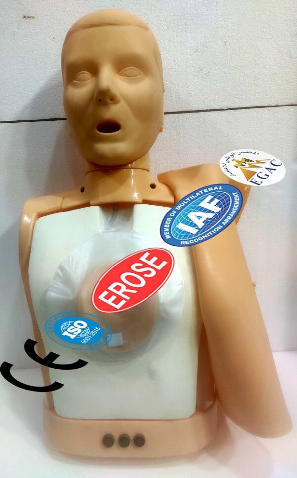 Half Body CPR Training Model